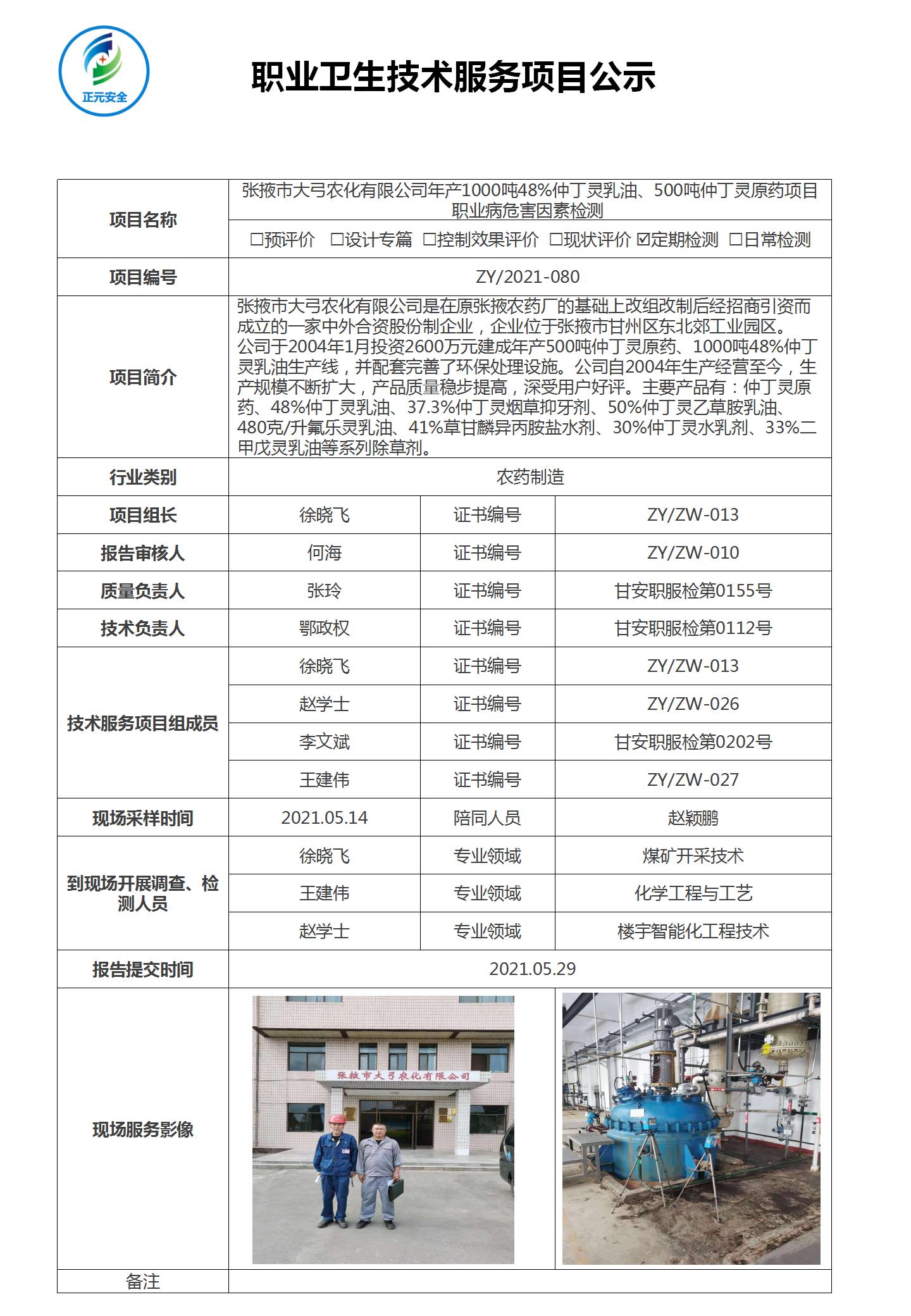 正元职业病技术服务项目公示表(终稿)_13.jpg