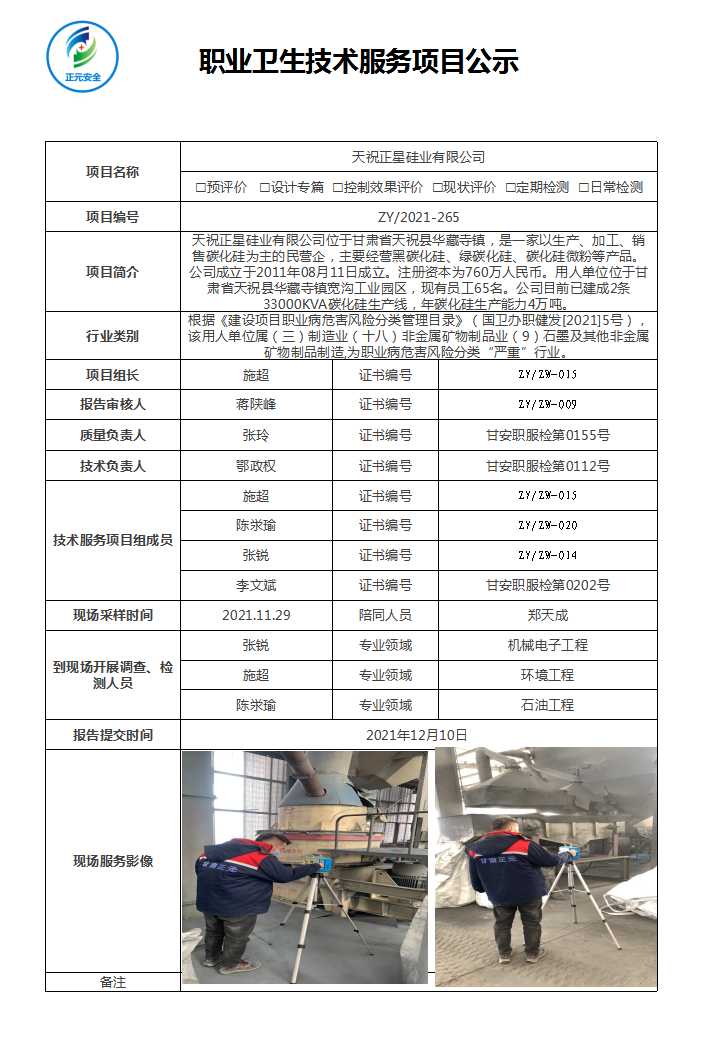 天祝正星硅业有限公司项目公示表(终稿).jpg