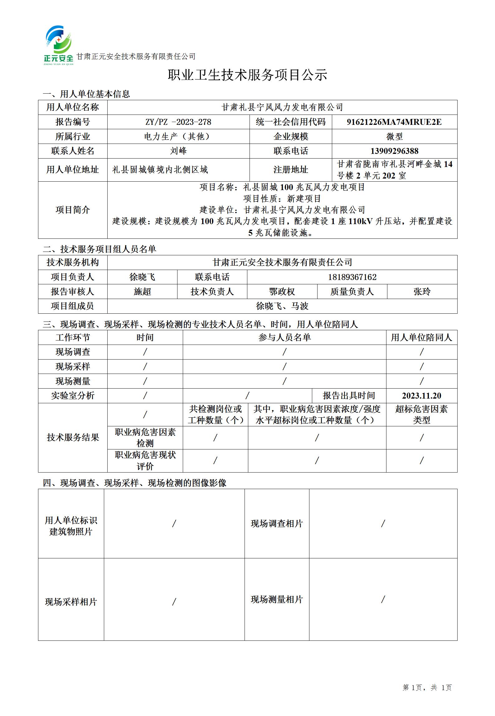 职业卫生技术服务项目公示(礼县设计)_01.jpg