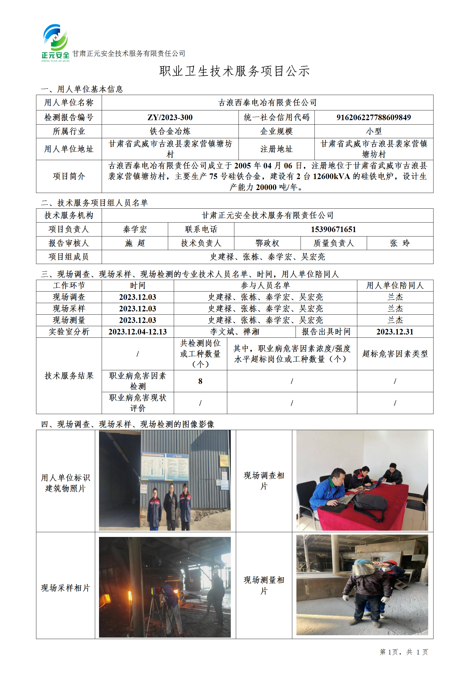 西泰电冶职业卫生技术服务项目公示(1)_01.png