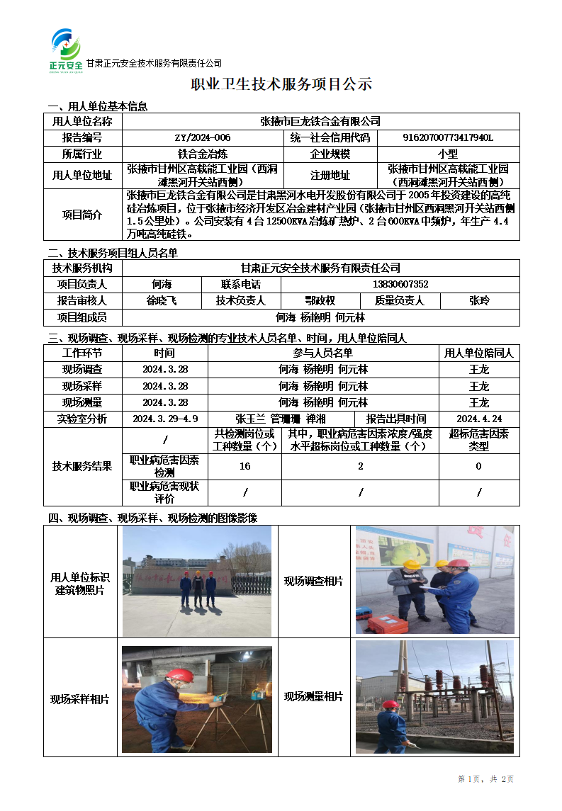 职业卫生技术服务项目公示(巨龙铁合金)(2)(1)_01.png