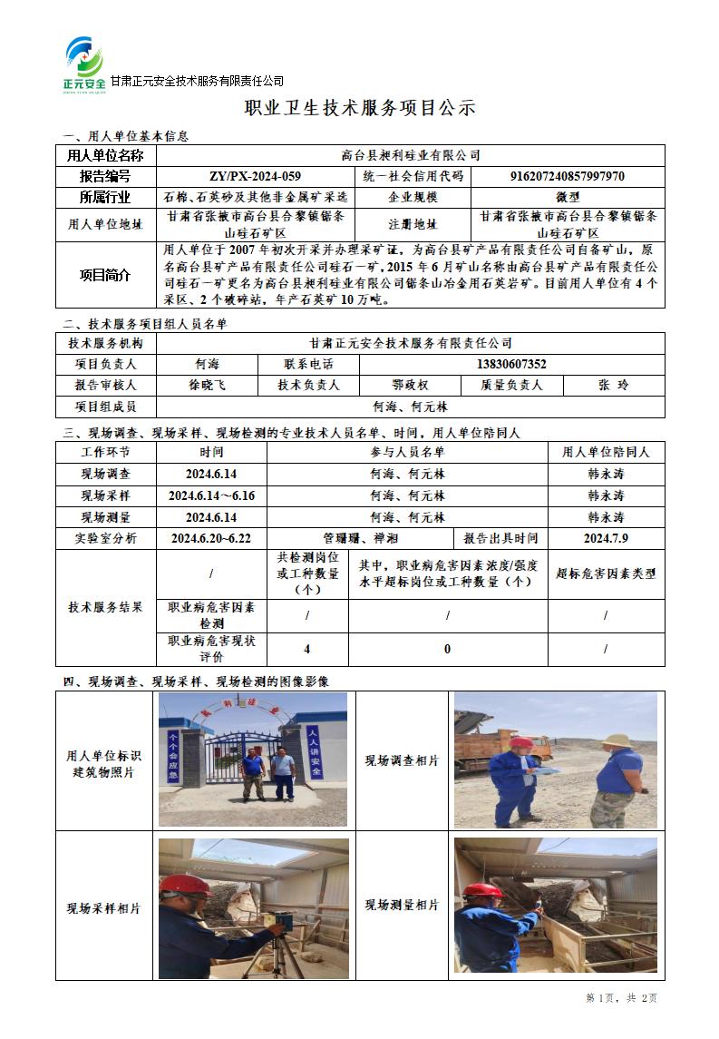 职业卫生技术服务项目公示（昶利硅业）(2)_01.jpg