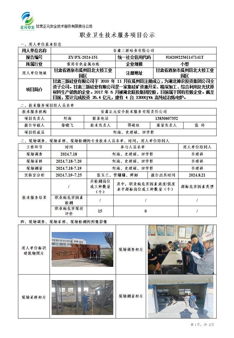 职业卫生技术服务项目公示（三新硅业）(2)_01.jpg