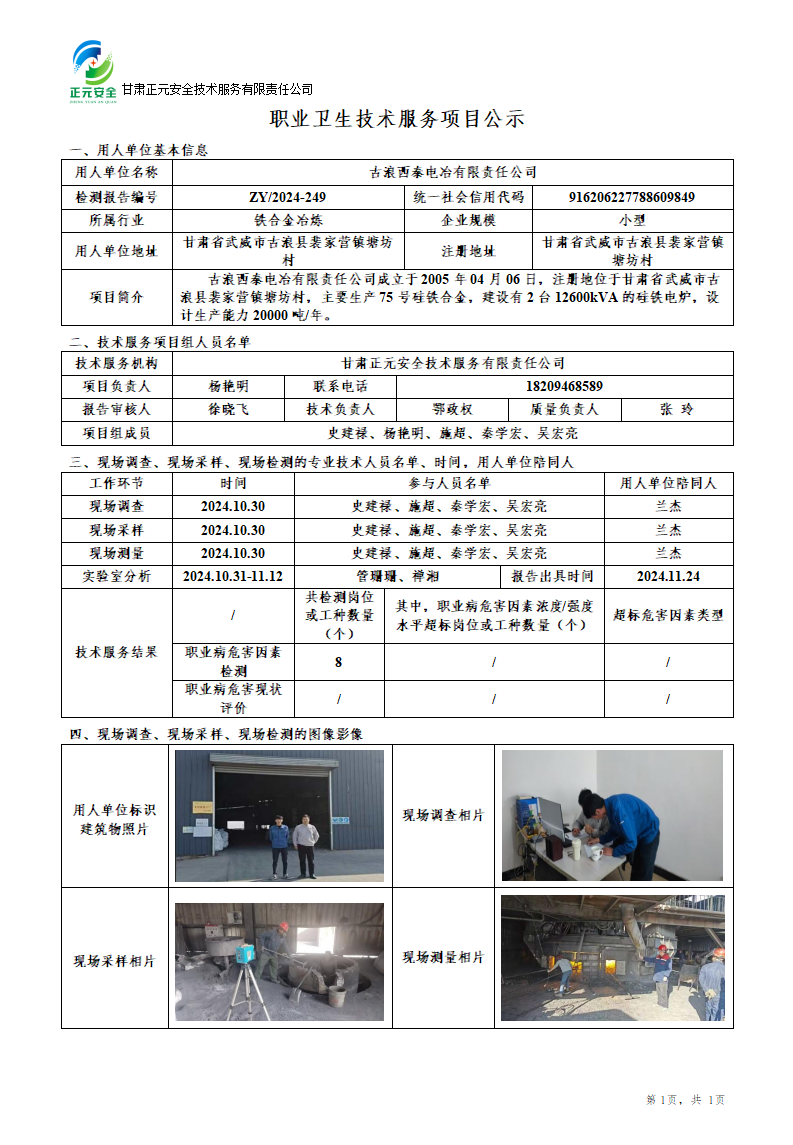 西泰电冶职业卫生技术服务项目公示(1)_01.png