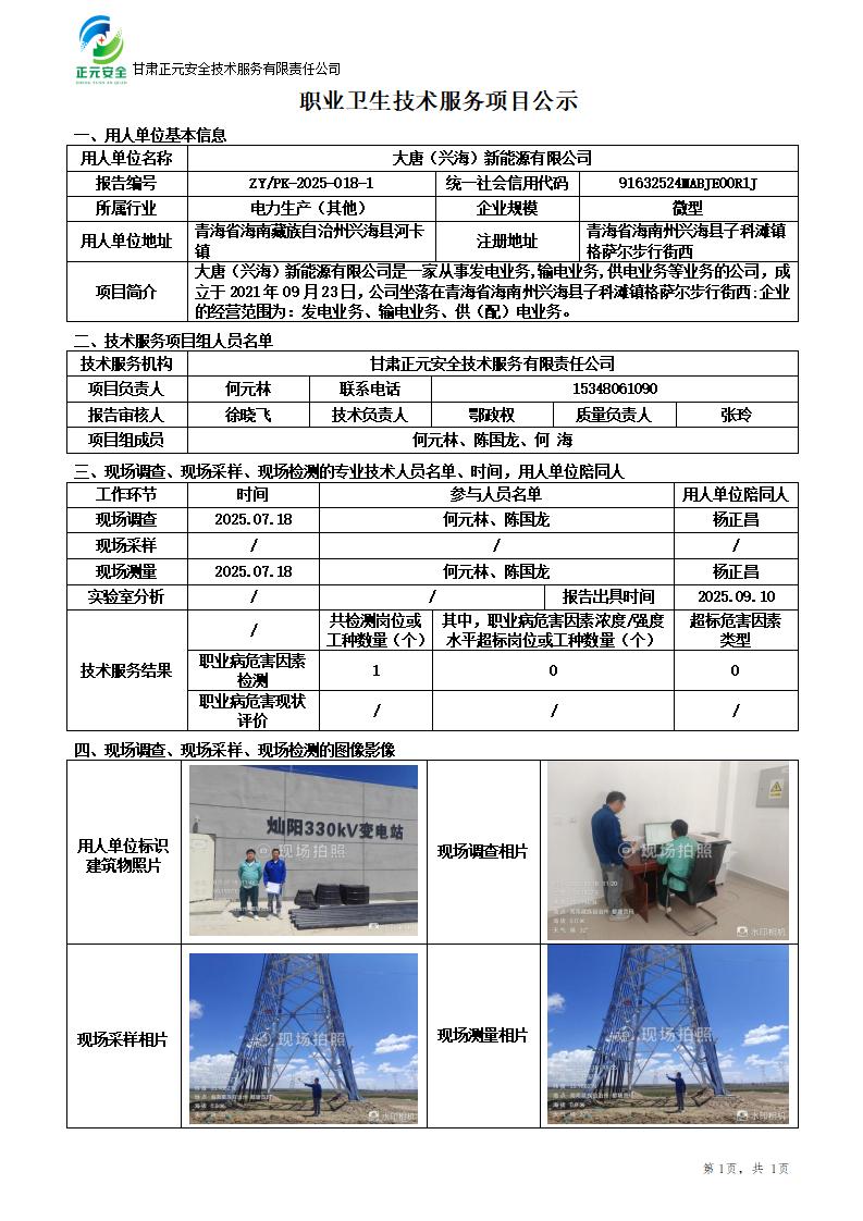 大唐兴海1号330kV升压站配套35kV备用电源线路项目职业病危害控制效果评价_01.jpg