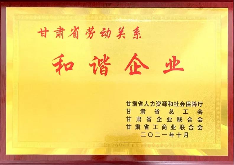 甘肃正元安全技术服务有限责任公司