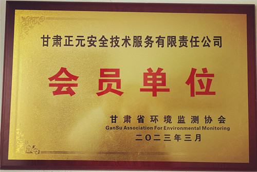 甘肃正元安全技术服务有限责任公司