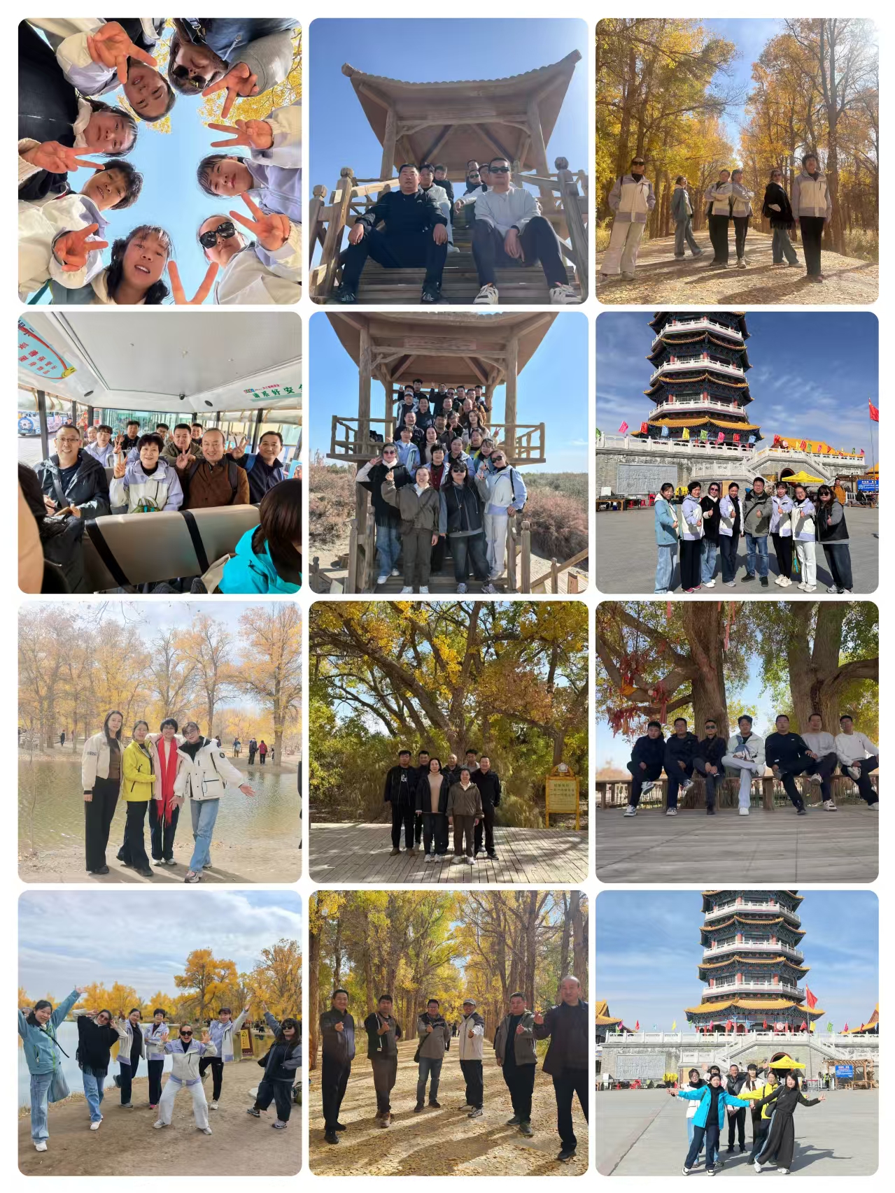 微信图片_20261023203953_21_2.jpg